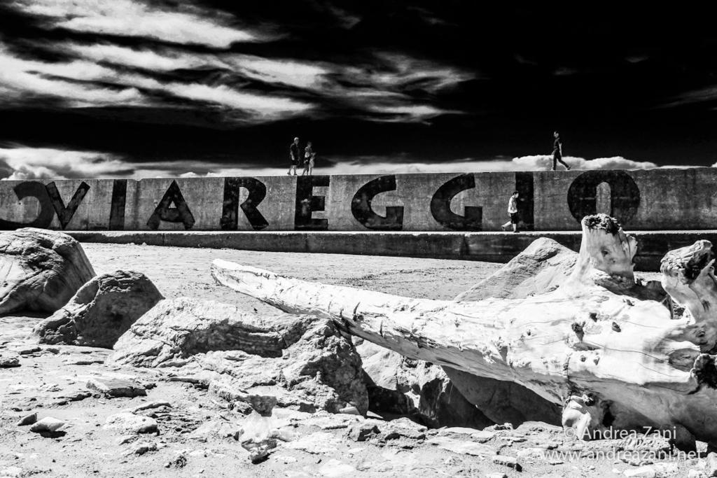 Sol&Mare Hotel Viareggio Exterior foto